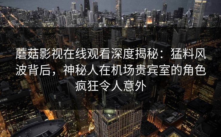 蘑菇影视在线观看深度揭秘：猛料风波背后，神秘人在机场贵宾室的角色疯狂令人意外