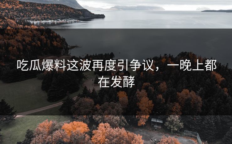 吃瓜爆料这波再度引争议，一晚上都在发酵